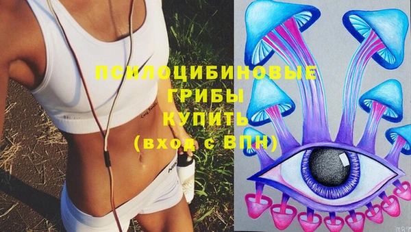 а пвп мука Верея