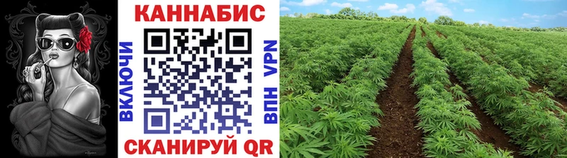 Каннабис THC 21%  Пласт 